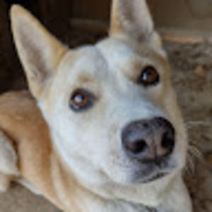 Meet your Posher, Logan